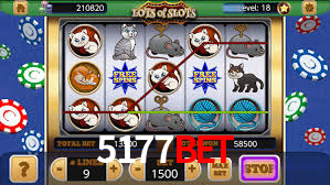 Experiência VIP 5177bet